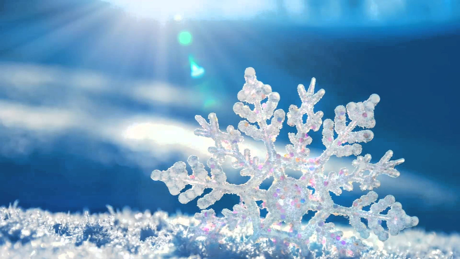 Winter Collection